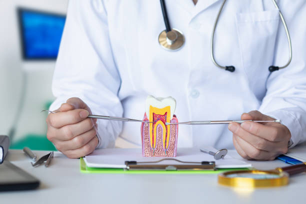 Best Dental Abscess Treatment in Ivyland, PA